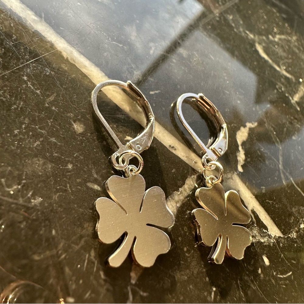 GOOD LUCK ♡ SILVER Stainless Steel Earrings - Picture 5 of 6